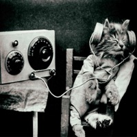 let it play out (feat. snoa) - Single - 444jet