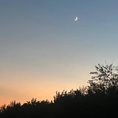 Vibes Pt. 2 (feat. SKTHEFATHER) - Single