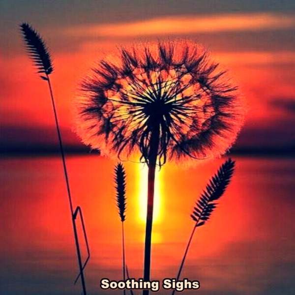 Soothing Sighs