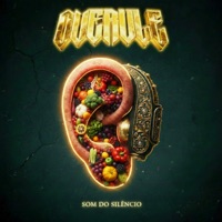 Som do Silêncio (feat. Rouku) - Single - DJ Overule