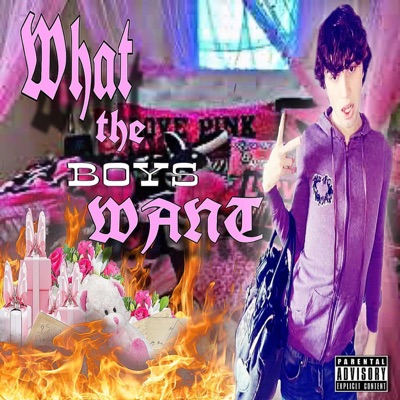 WHAT THE BOYS WANT - Single