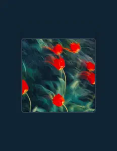 Posłuchaj wykonawcy Imagine Elysium, obejrzyj teledyski, przeczytaj biografię, zobacz daty tras koncertowych i nie tylko!