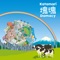 Lonely Rolling Star - Saki Kabata, Katamari Damacy Series SOUND TEAM & Bandai Namco Game Music lyrics
