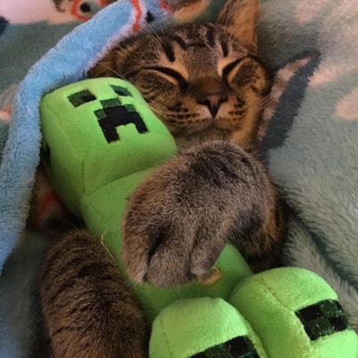 Talk To Me (feat. Mopearound) - Single