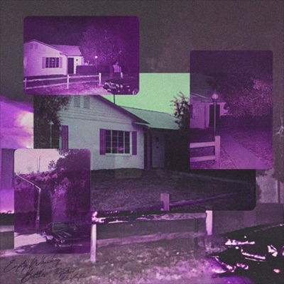 Empty Whiskey Bottles (dr0wzy mix) - EP