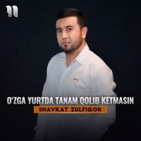 O'zga yurtda tanam qolib ketmasin - Single - Shavkat Zulfiqor