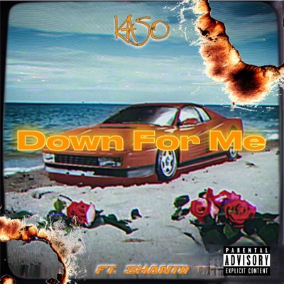 Down For Me (feat. Shantii) - Single