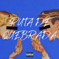Puta de Quebrada - Single - DJ BERKLE, MC Vinny JC & DJ DANORTE