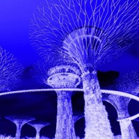 Let Me See - Single - SprngXo