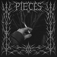 pieces - Single - daytonii