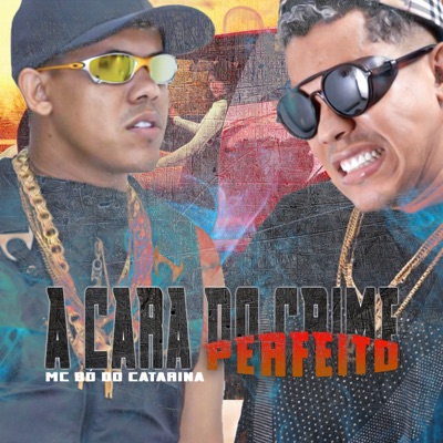 A Cara do Crime Perfeito - Single