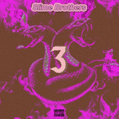 Slime Brothers 3