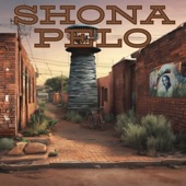 Shona Pelo artwork