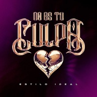 No Es Tu Culpa - Single - Estilo Ideal