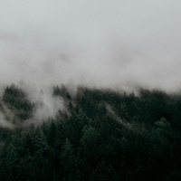 the night we drifted - Single - softwaves, Seaen & Blocktane