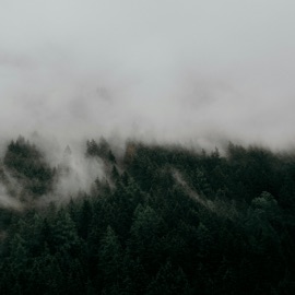 the night we drifted softwaves, Seaen & Blocktane