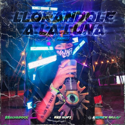 Llorándole a la Luna (Remix) - Single