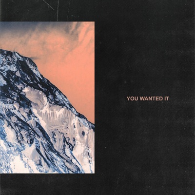 You Wanted It - Single