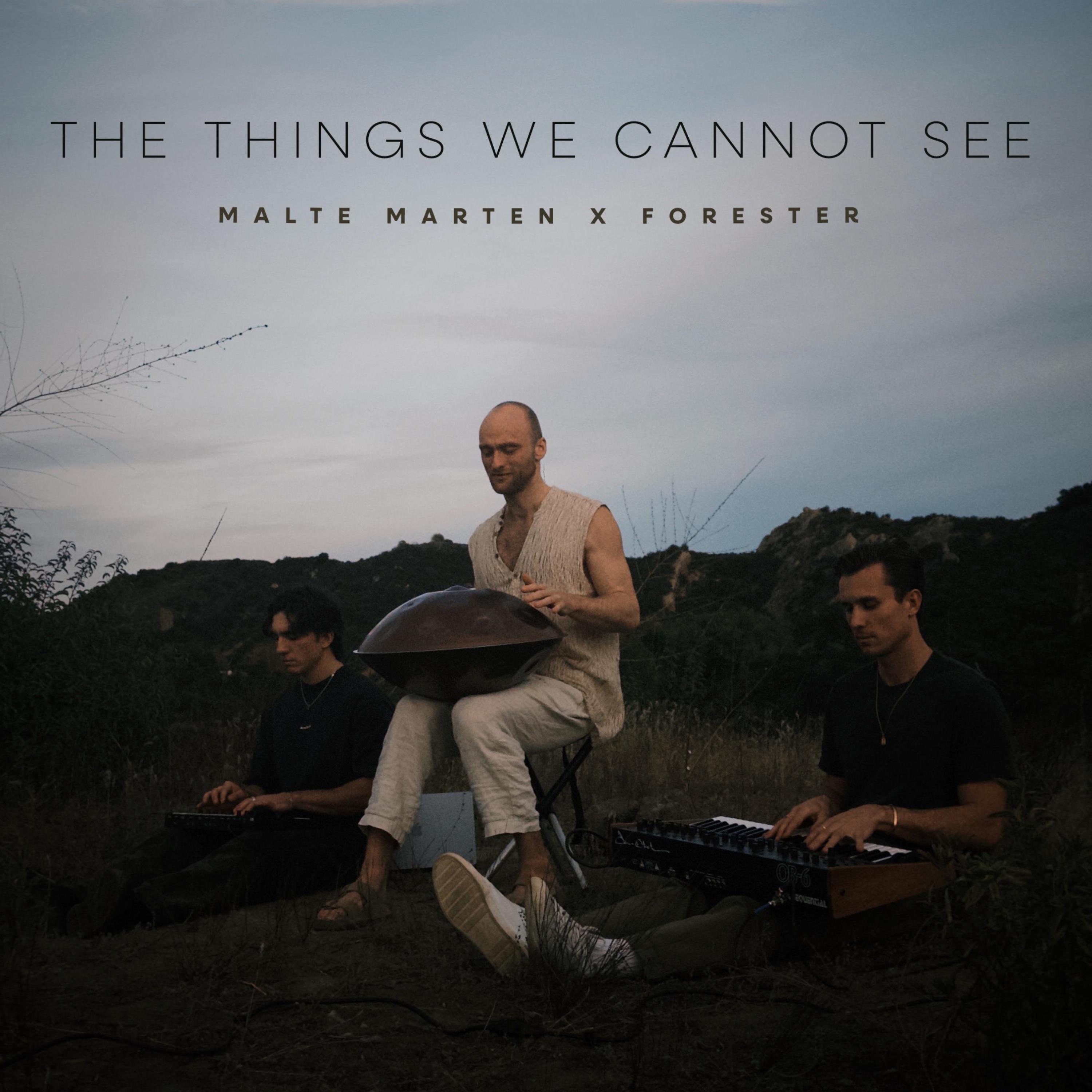 The Things We Cannot See - Single