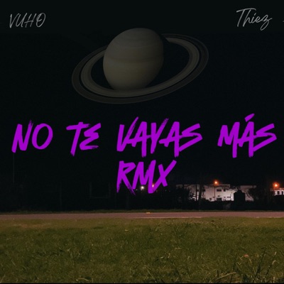 NTVM RMX (feat. Vuho) - Single