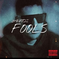 Fools - Single - 3aundz