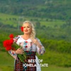 Best of Ionela State - Single
