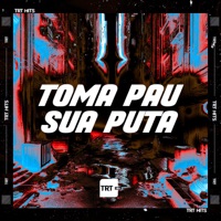 Toma Pau Sua Puta - Single - DJ BM PROD, MC Soll & TRT HITS