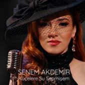 Küçelere Su Sepmişem