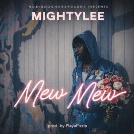 New New MightyLee