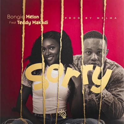 Sorry - Single