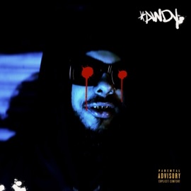 SLYDE (feat. REEVES JUNYA) SKYXXX