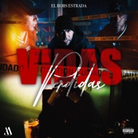 VIDAS PERDIDAS - Single - El Robs Estrada