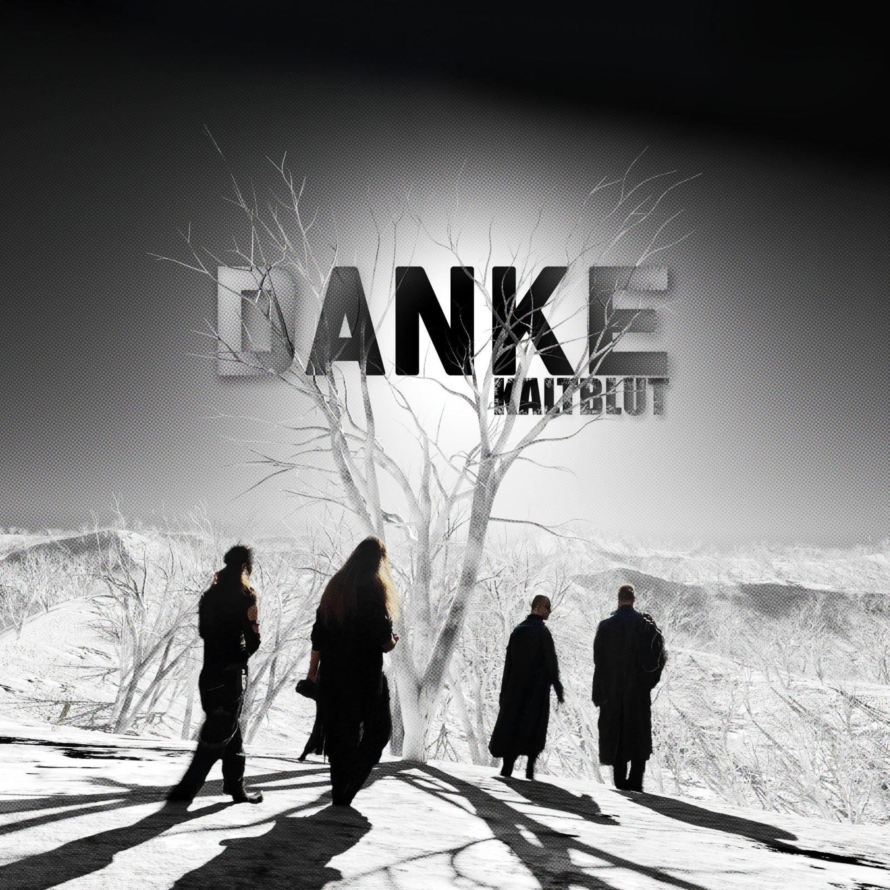 Danke - Single