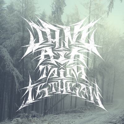 Taiga is the Law - Single