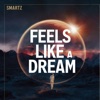 Feels Like a Dream - Single