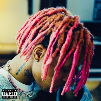PINK DREADS 2 - Single