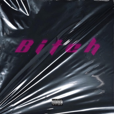 Bitch - Single