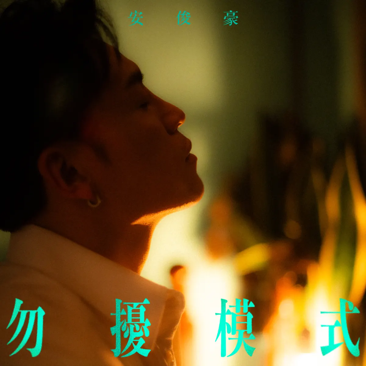 安俊豪 - 勿擾模式 - Single (2025) [iTunes Plus AAC M4A]-新房子