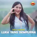 Luka Yang Sempurna