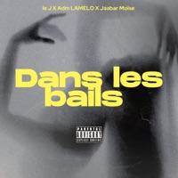 Dans les bails (feat. Le j & Jaabar Moïse) - Single - Adm lamelo