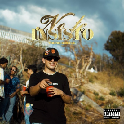 No te insisto - Single