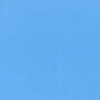 Paintbrush Blue - Single - ASHXS