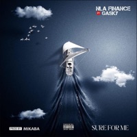 Sure For Me (feat. Gasky) - Single - NLA Finance