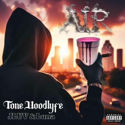 Air (feat. J Luv & Luna) - Single