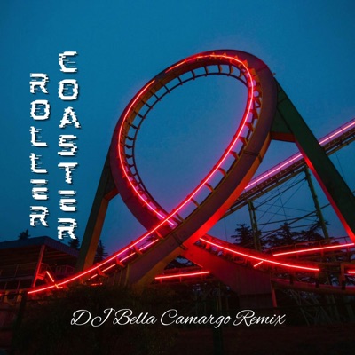 ROLLER COASTER (Remix) - Single