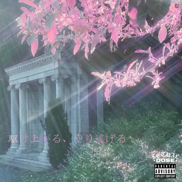 RUN UP GET DONE UP (feat. Rece's Aura)