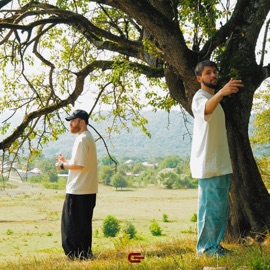 Фея Asatro & atinh