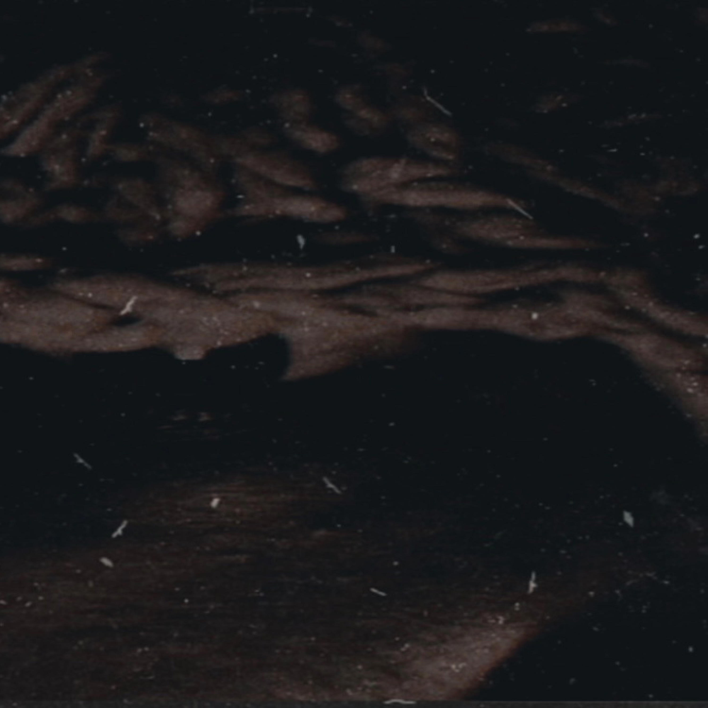 Kasfia Rashid ask Kash the Bookkeeper - 14. (MONEY MATTERS) Structure Your Finances for Stronger Credit Scores