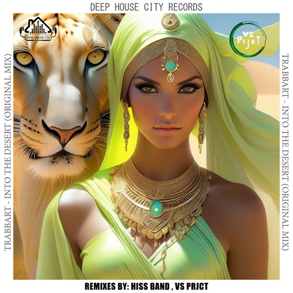 Into the Desert - Single