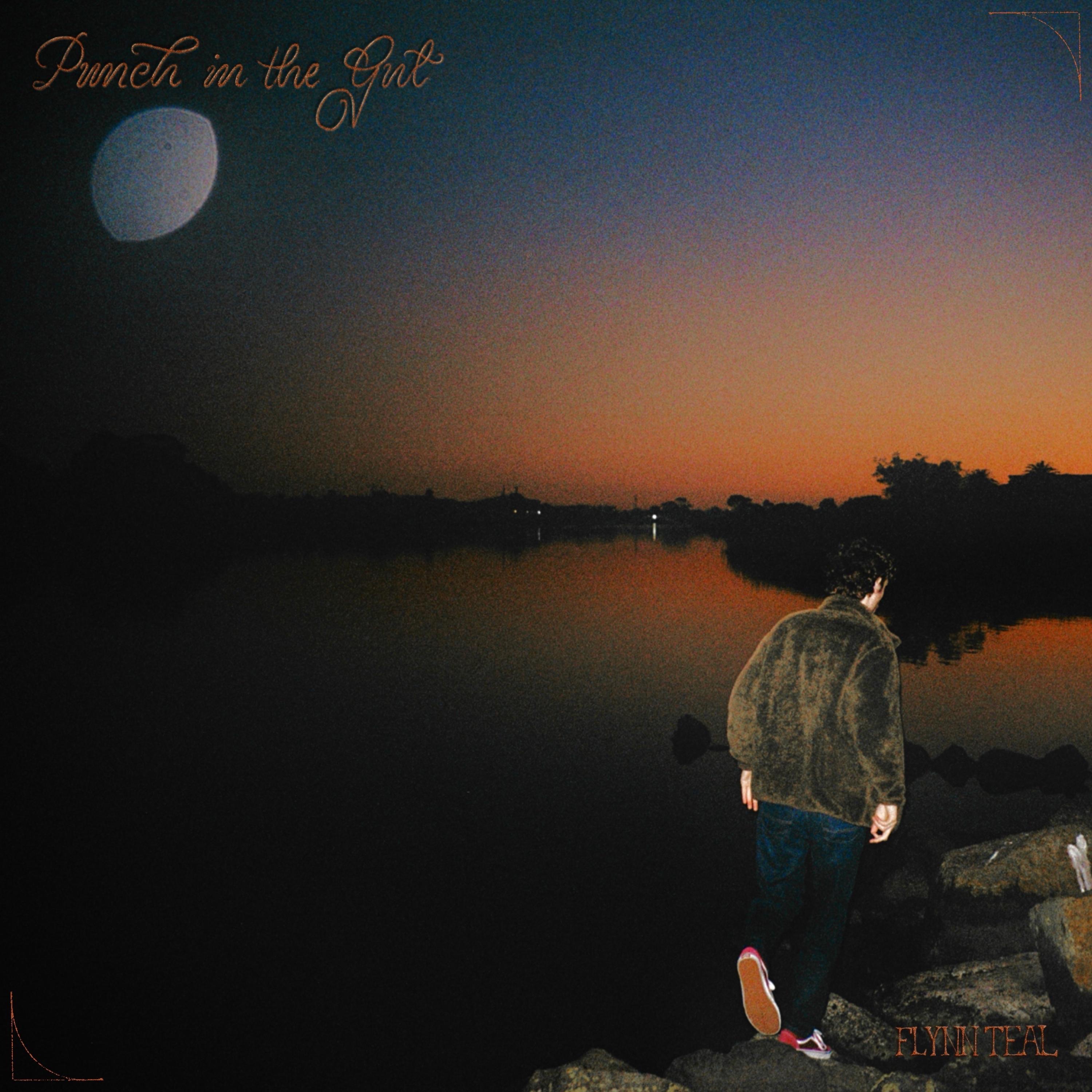 Punch In The Gut - Single